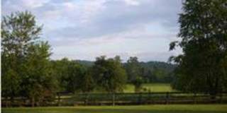 1831 Eden Lane - 1 Gallery 1