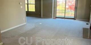 14 Parsley - 1 Gallery 22