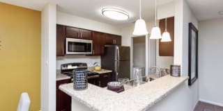 Palmetto Place Palmetto Place Gallery 13