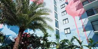 Leksa at Cityplace Gallery 3