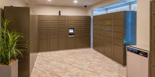 Black Lake Gallery 39