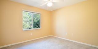 3298 Branch Creek Dr Gallery 20