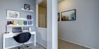 Apex Apartments Gallery 5