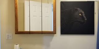 28 Euston St #2 Brookline MA 02446 Gallery 11