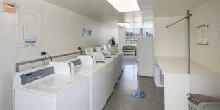 2637 Kuilei St. #A66 Gallery 11