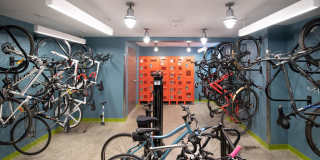 The Vintage Gallery 16