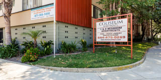 Coliseum Gallery 28