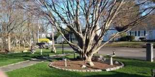 114 Spy Pond Parkway Gallery 9