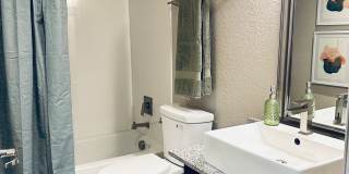Alma Apartments Gallery 4