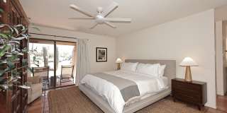 1725 E STAGHORN Lane Gallery 9