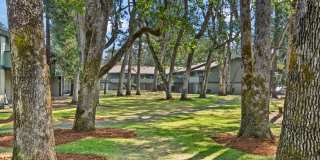 Timbre Apartments Gallery 54