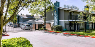 Mariner's Cove Gallery 10