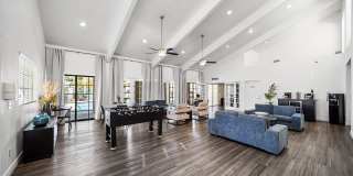 Desert Springs Gallery 5