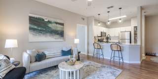 The Enclave at Tranquility Lake Apartments Gallery 1