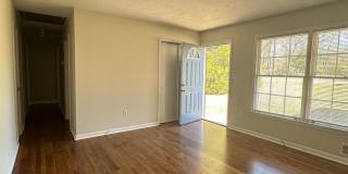 3 bedroom home near Wire Park Gallery 7