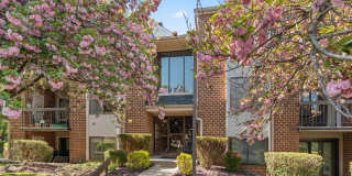 6 MULLINGAR CT #202 Gallery 1