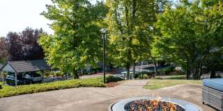 Haven Lake Oswego Gallery 48