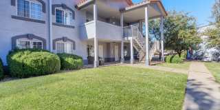 The Palisades Gallery 21