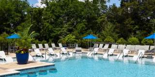 Avery at Turkey Creek Gallery 42