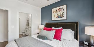 The Lacy at South Main Gallery 33