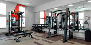 Eightyone10 Blue Goose Gallery 11