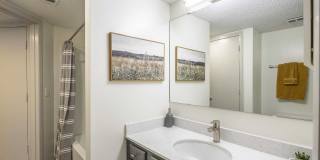 Wellspring Wellspring Gallery 19