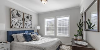 Virtuoso Apartments Gallery 5