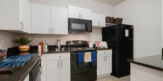 Student Housing - The Verge Orlando Gallery 17