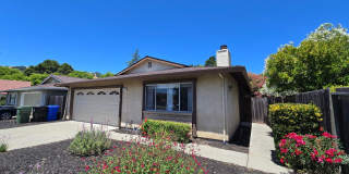 Gorgeous 3 Bedroom, 2 Bath home in great location Gallery 4