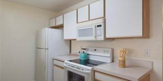 8709 ROCKINGHAM TERRACE Gallery 7