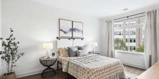 The Daley at Shady Grove Apartments Gallery 8