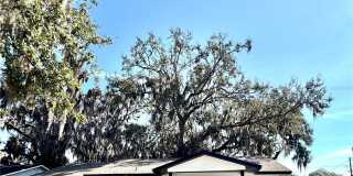 607 ALABAMA AVENUE Gallery 1