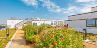 Second and Delaware Gallery 22