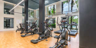 Manor at City Place Gallery 26