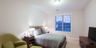 Empire Run Gallery 25