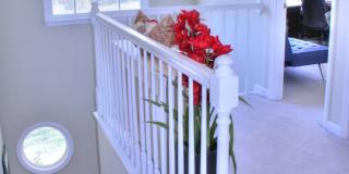 Beautiful home with Fenced Yard & Screened Porch! Gallery 9