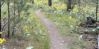 4925 South Kip Lane Gallery 1