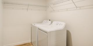 Lark Gallery 11