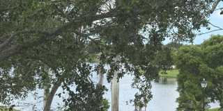 9825 Baywinds Drive Gallery 14