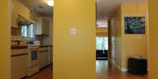 50 UNDINE Gallery 5