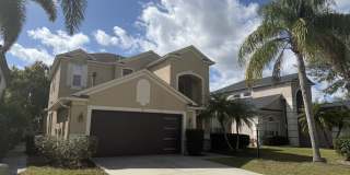 11626 Water Poppy Terrace Gallery 1