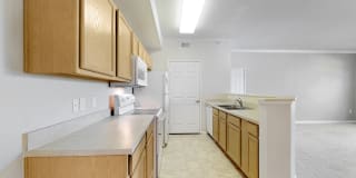 Alexis at Perry Pointe Gallery 65