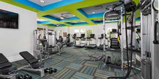 Bexley Village at Concord Mills Gallery 19