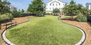 The Grove at Carolina Park Apartments Gallery 33