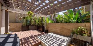 1732 Wolf Canyon Loop Gallery 37