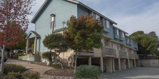 Pacific Vista Gallery 18