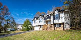 1075 Carol Jean Trail Gallery 31