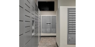 Green Leaf Lofts Gallery 41