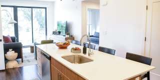 The Olive The Olive Gallery 16