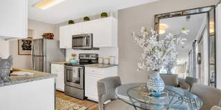 The Chapman Gallery 16